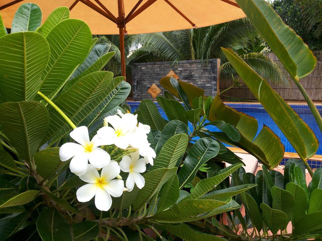 Villa Nissa Siem Reap Esterno foto