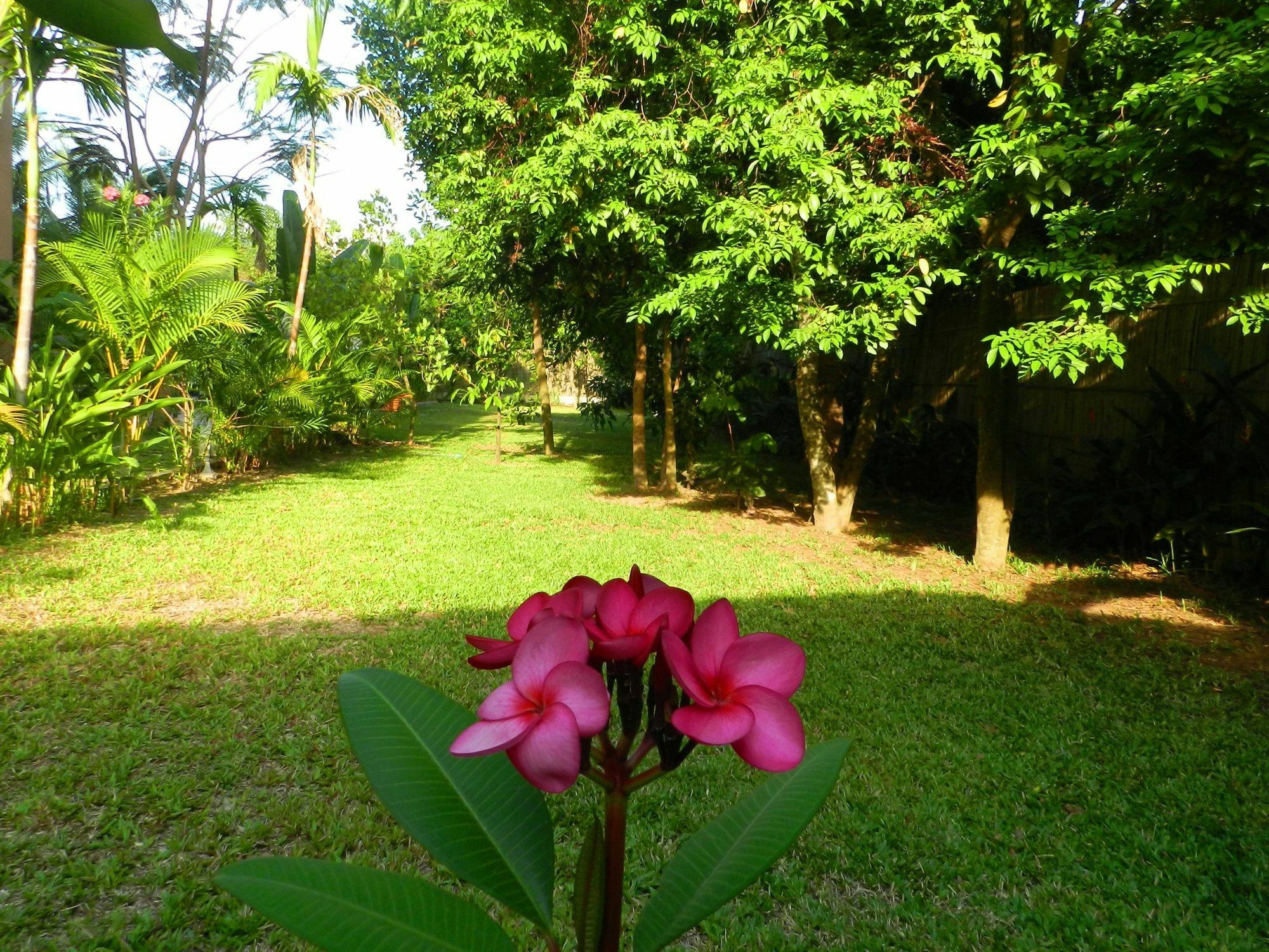 Villa Nissa Siem Reap Esterno foto